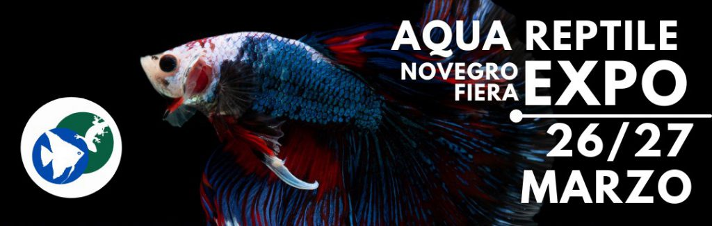 aquaexpo