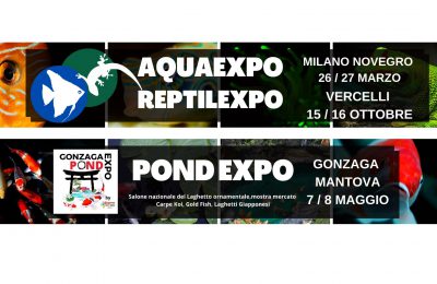 aquaexpo