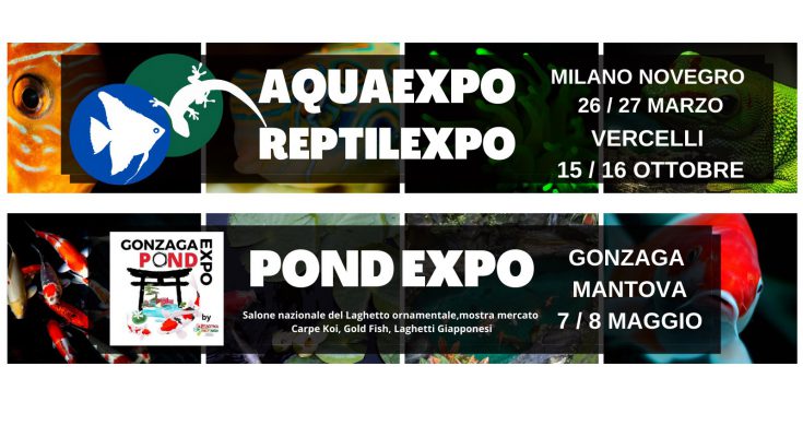 aquaexpo