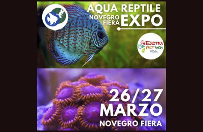 Esotika Novegro Aquareptilexpo