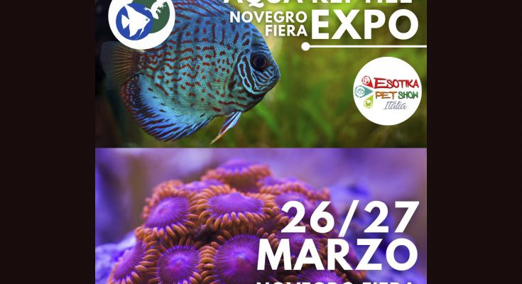 Esotika Novegro Aquareptilexpo