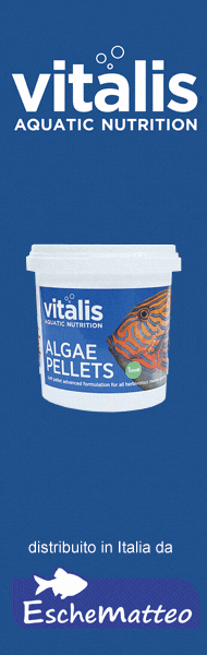 Vitalis aquatic nutrition - mangimi per pesci d'acquario