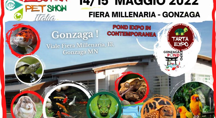 gonzaga pond tarta expo