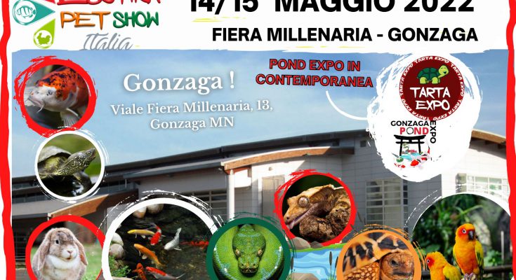 gonzaga pond tarta expo