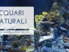 Fondale acquario pisa 2023