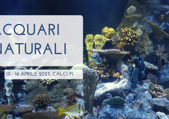 Fondale acquario pisa 2023
