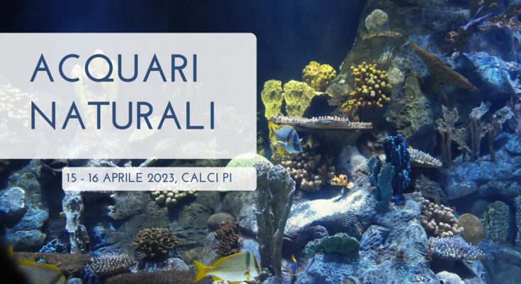 Fondale acquario pisa 2023
