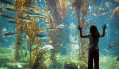 Bambino all'acquario pubblico