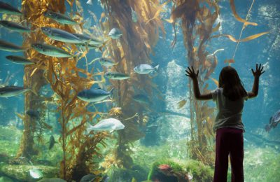 Bambino all'acquario pubblico