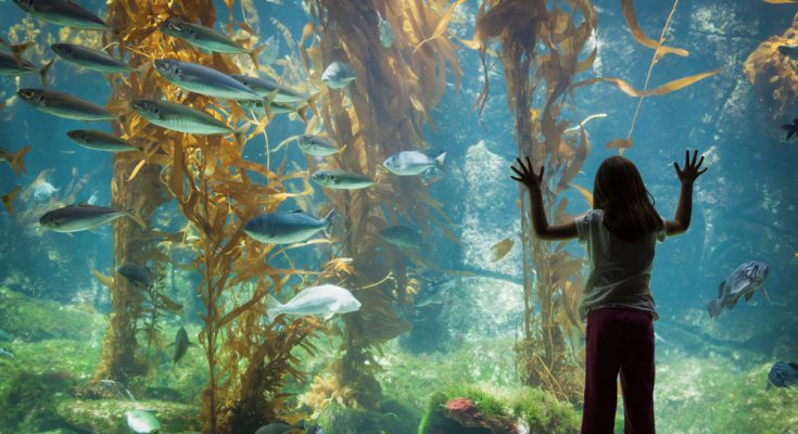 Bambino all'acquario pubblico
