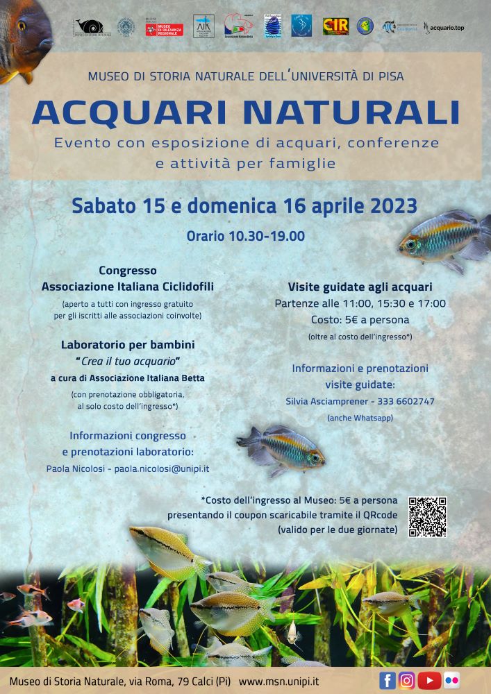 Locandina ed eventi acquari naturali museo di pisa