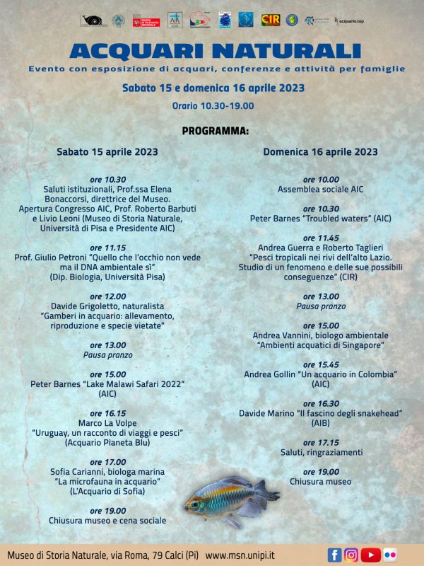 programma acquari naturali calci pisa