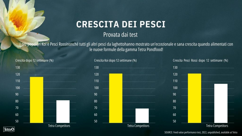 crscita pesci laghetto tetra