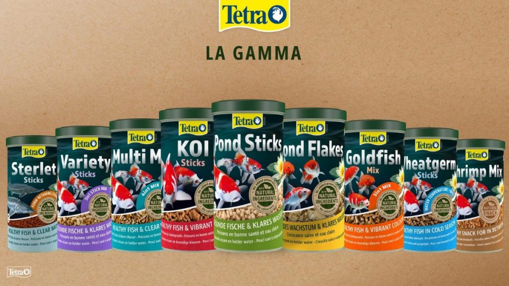 gamma tetra pond mangimi pesci