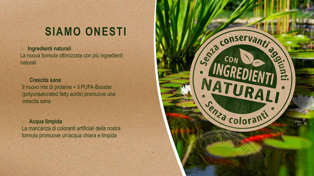 ingredienti-naturali-formula-tetra-mangimi pesci laghetto