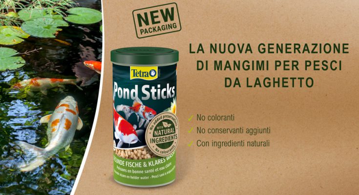 mangimi-laghetto-sostenibili-tetra