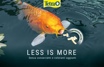 mangimi tetra pond