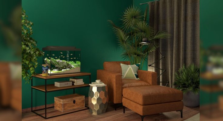 Tetra starter line acquari