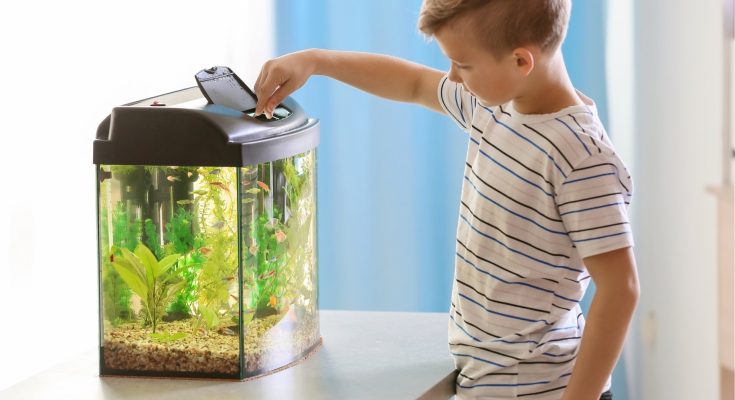 alimentazione sana pesci