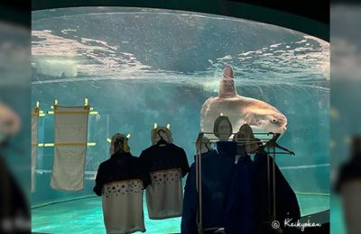 pesce luna mola giappone