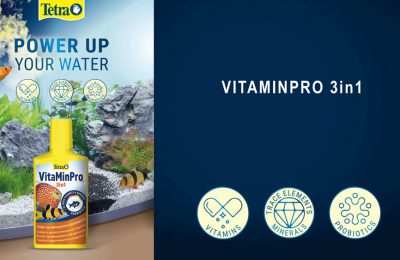 tetra vitamin 3in1