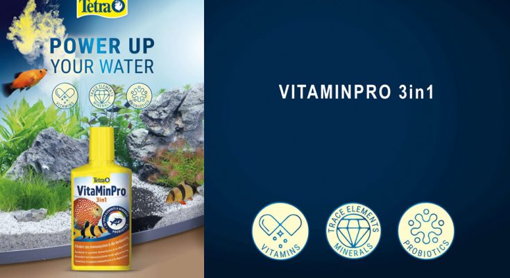 tetra vitamin 3in1