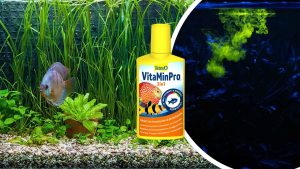 tetra vitamin pro 3in1 come usarlo