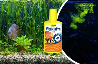 tetra vitamin pro 3in1 come usarlo
