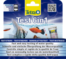 test 6 in 1