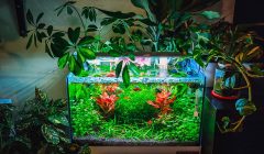 acquario contenere costi