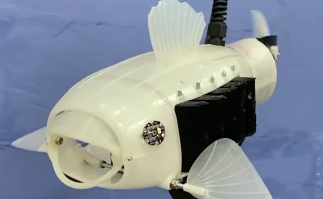 gillbert pesce robot mangia plastica