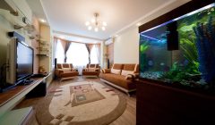 acquario assicurazione casa