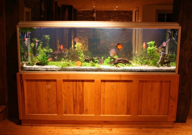 acquario domestico prevenire danni