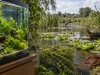 Acquario tropicale e palude al sole
